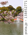 池に架かる赤い橋と桜 138852771