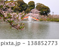 池に架かる赤い橋と桜 138852773