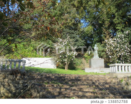 2014年・香川・観音寺・八幡・風景・琴引公園・其の五十五 2014年・香川・観音寺・八幡・風景・琴引公園・其の五十五 138852788