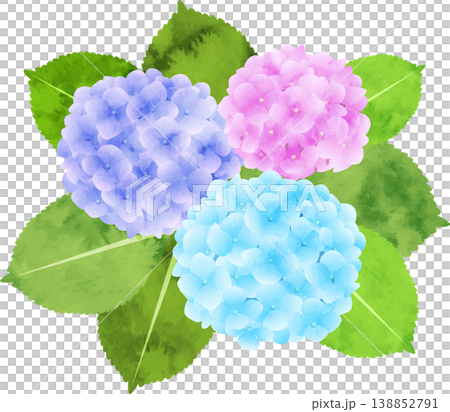 色彩繽紛的水彩風格繡球花插圖 色彩繽紛的水彩風格繡球花插圖 138852791