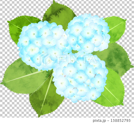 水彩風アジサイのイラスト・ペールブルー 138852793