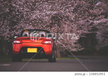 桜並木に駐車するオレンジ色のオープンカー 138852951