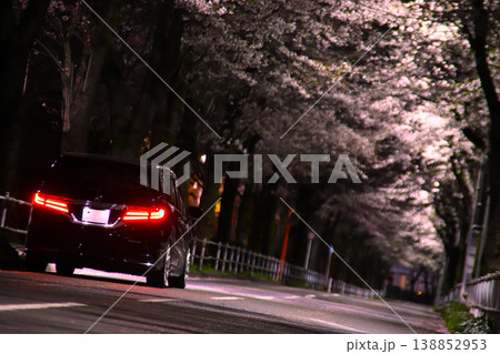 夜桜の桜並木に駐車する自動車 138852953