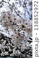 青空と桜 138852972