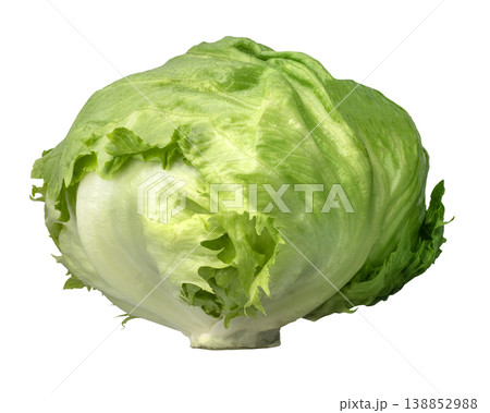フレッシュなレタス 138852988