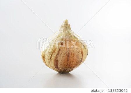 新玉ねぎ 138853042