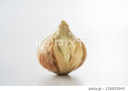 新玉ねぎ 138853043