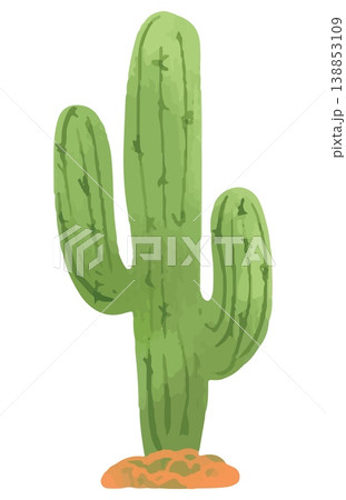 Watercolor style vector illustration of green cactus succulent single on white background 138853109