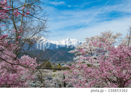 青空に映える満開の桜と北アルプスの山並み 138853162
