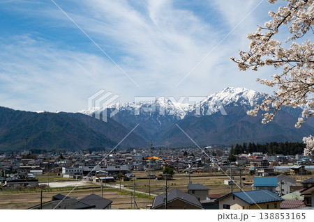 青空に映える満開の桜と北アルプスの山並み 138853165