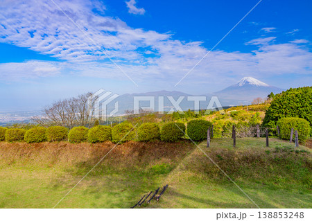 【静岡県三島市】春の山中城址公園、後方に富士山 138853248