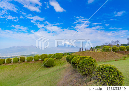 【静岡県三島市】春の山中城址公園、後方に富士山 138853249