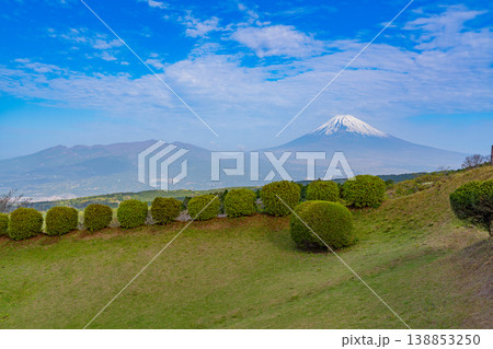 【静岡県三島市】春の山中城址公園、後方に富士山 【静岡県三島市】春の山中城址公園、後方に富士山 138853250