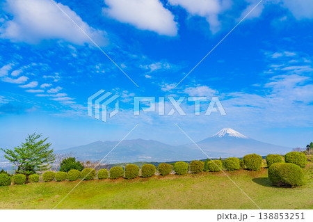 【静岡県三島市】春の山中城址公園、後方に富士山 【静岡県三島市】春の山中城址公園、後方に富士山 138853251