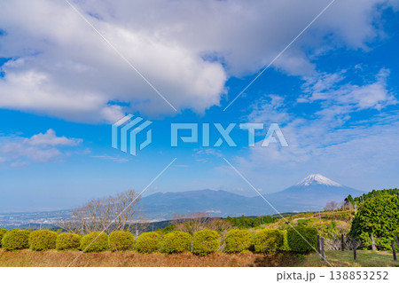 【静岡県三島市】春の山中城址公園、後方に富士山 138853252