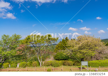 【静岡県三島市】春の山中城址公園、後方に富士山 【静岡県三島市】春の山中城址公園、後方に富士山 138853254