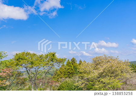 【静岡県三島市】春の山中城址公園、後方に富士山 【静岡県三島市】春の山中城址公園、後方に富士山 138853258