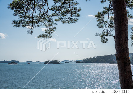 松島の海と松の枝 松島の海と松の枝 138853330