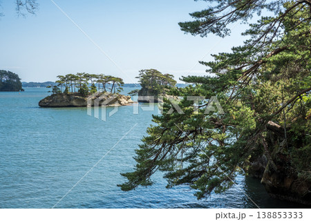松島の松の枝と青空の下の双子島 松島の松の枝と青空の下の双子島 138853333