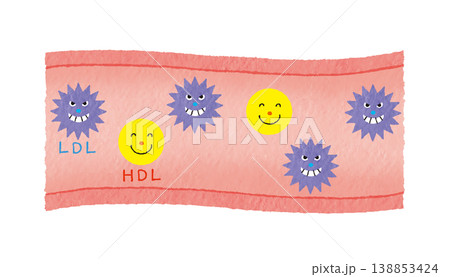 LDLとHDLで見る血管とコレステロールの説明イラスト(健康・医療) LDLとHDLで見る血管とコレステロールの説明イラスト(健康・医療) 138853424