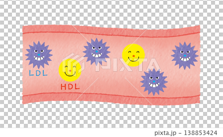 An illustrated explanation of blood vessels and cholesterol levels using LDL and HDL (Health and Medicine) An illustrated explanation of blood vessels and cholesterol levels using LDL and HDL (Health and Medicine) 138853424