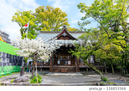 春の熊本大神宮 熊本県熊本市 春の熊本大神宮 熊本県熊本市 138853568