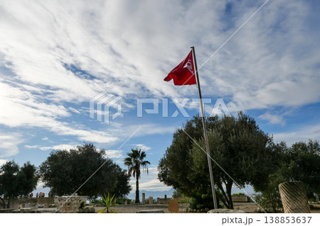 チュニジア　カルタゴ遺跡　ビュルサの丘 138853637