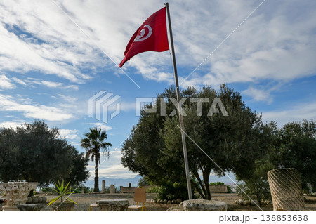 チュニジア　カルタゴ遺跡　ビュルサの丘 138853638