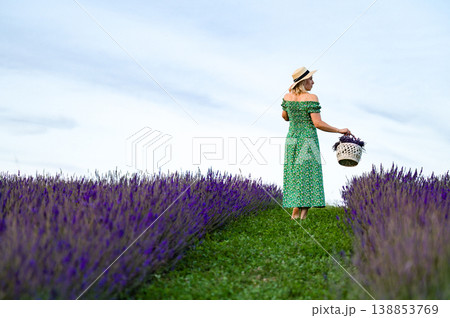Woman in green dress walking through a lavender field, carrying a basket of flowers. Woman in green dress walking through a lavender field, carrying a basket of flowers. 138853769