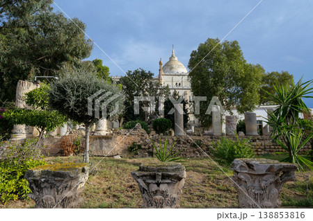 チュニジア　カルタゴ遺跡　ビュルサの丘 138853816