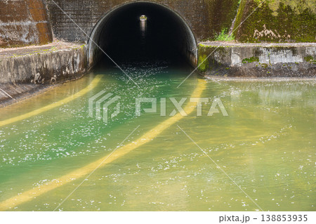 桜の花びらを浮かべて流れる琵琶湖疏水　諸羽トンネル出口　京都市 138853935