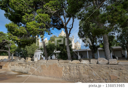 チュニジア　カルタゴ遺跡　ビュルサの丘 138853985