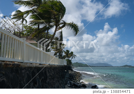 ラニカイビーチ・ハワイ 138854471