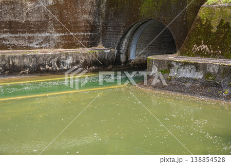 桜の花びらを浮かべて流れる琵琶湖疏水　諸羽トンネル出口　京都市 138854528