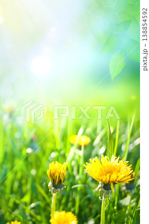 green natural grass background with sun rays, vertical walpaper 138854592