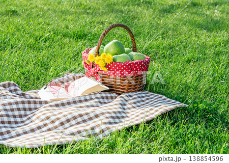 Picnic setup on grass with basket and book Picnic setup on grass with basket and book 138854596