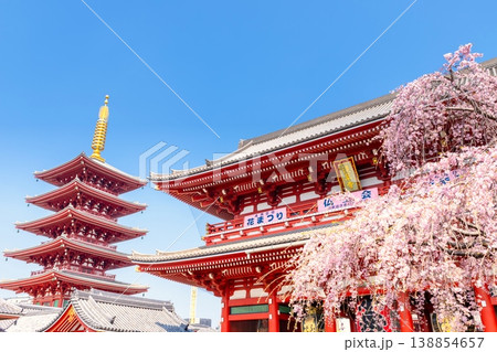 東京の桜・浅草寺 東京の桜・浅草寺 138854657