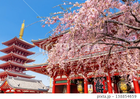 東京の桜・浅草寺 東京の桜・浅草寺 138854659