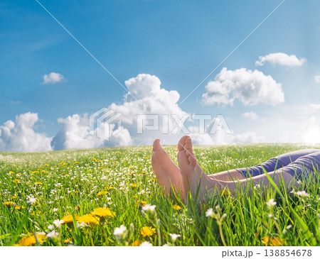 spring landscape with blue sky and white flowers spring landscape with blue sky and white flowers 138854678