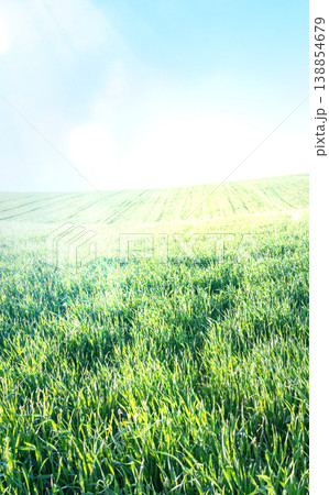 green natural grass field background with sun rays, vertical walpaper green natural grass field background with sun rays, vertical walpaper 138854679