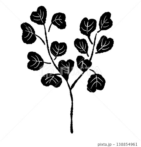 ユーカリの大きな丸葉が特徴的な手描き風モノクロ単体イラスト素材 138854961