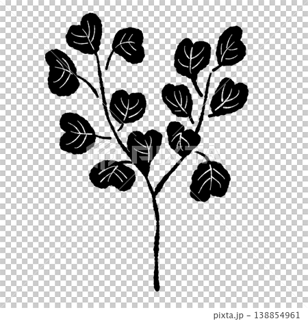 ユーカリの大きな丸葉が特徴的な手描き風モノクロ単体イラスト素材 138854961