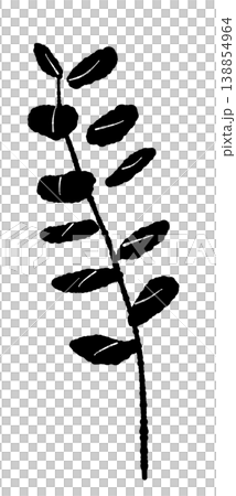 ユーカリの少し大きめの葉が並ぶ丸葉の枝の手描き風モノクロ単体イラスト ユーカリの少し大きめの葉が並ぶ丸葉の枝の手描き風モノクロ単体イラスト 138854964