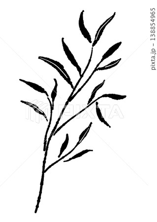ユーカリの斜めに広がる細葉の枝の手描き風モノクロ単体イラスト素材 138854965