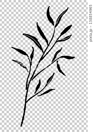 ユーカリの斜めに広がる細葉の枝の手描き風モノクロ単体イラスト素材 138854965