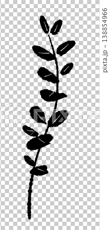 A hand-drawn, monochrome illustration of a branch with a series of small, round eucalyptus leaves. A hand-drawn, monochrome illustration of a branch with a series of small, round eucalyptus leaves. 138854966