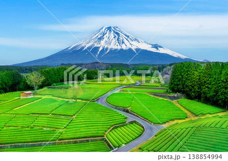 Fuji mountains and green tea plantation in Shizuoka, Japan. 138854994
