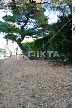 寿能城06 土塁 寿能城06 土塁 138855036