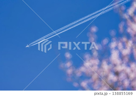 飛行機雲と桜の花びら イメージ 飛行機雲と桜の花びら イメージ 138855169