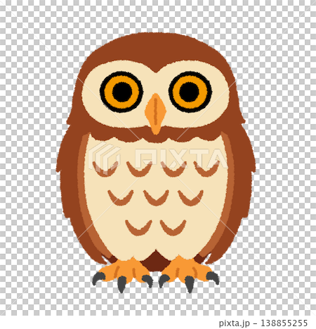 貓頭鷹的插圖 138855255